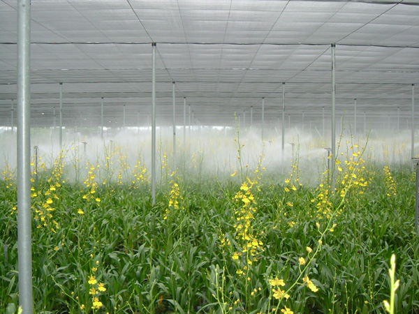 DEX-025 Home Misting System - View 9