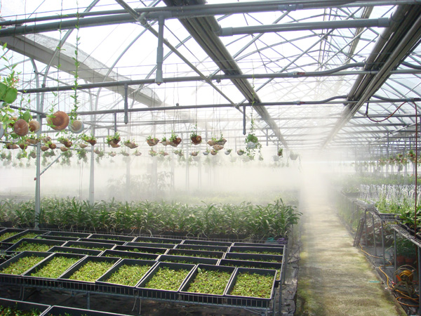 DEX-025 Home Misting System - View 10