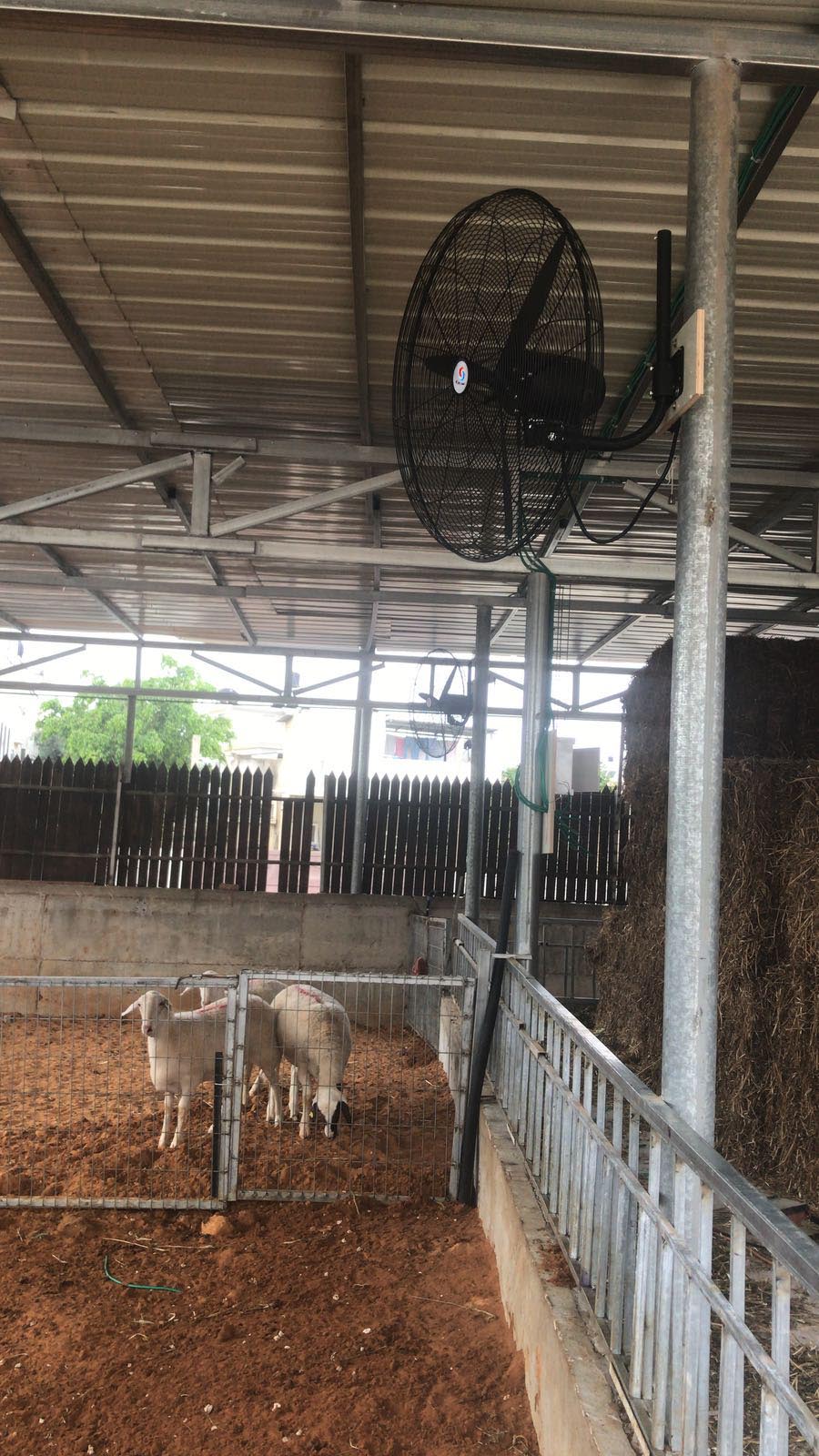 Industrial Strengthened Pedestal Fan 30 Inch Model Breeze-Vent - Details