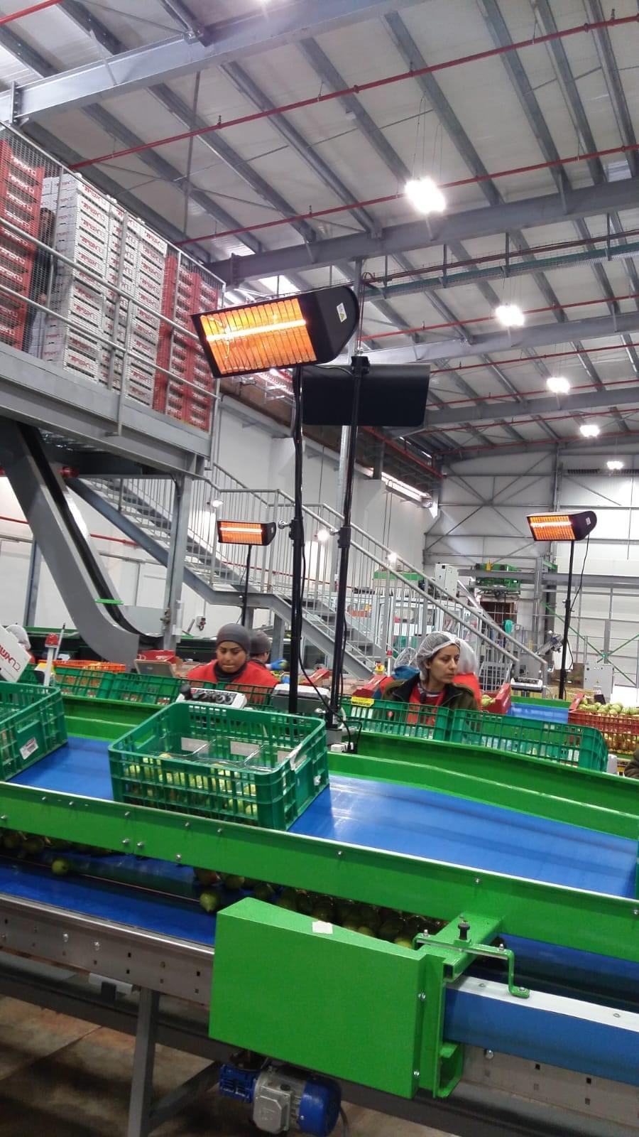 Fruit sorting plant - Thumbnail 2